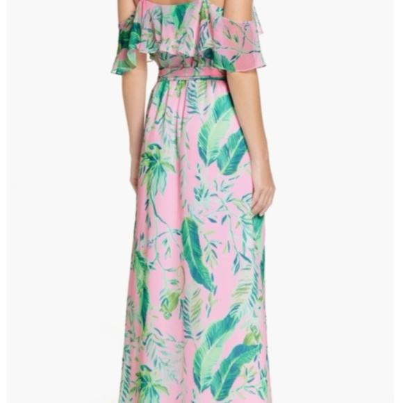 Lily Pulitzer Chipoiserie Dress. - Picture 7 of 8